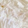 Soft Embroidered Lace Lingerie Set
