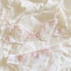 Soft Embroidered Lace Lingerie Set